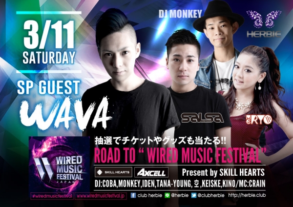Road to ”WIRED MUSIC FESTIVAL